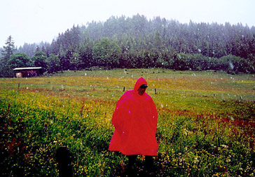 3. Juni 2001